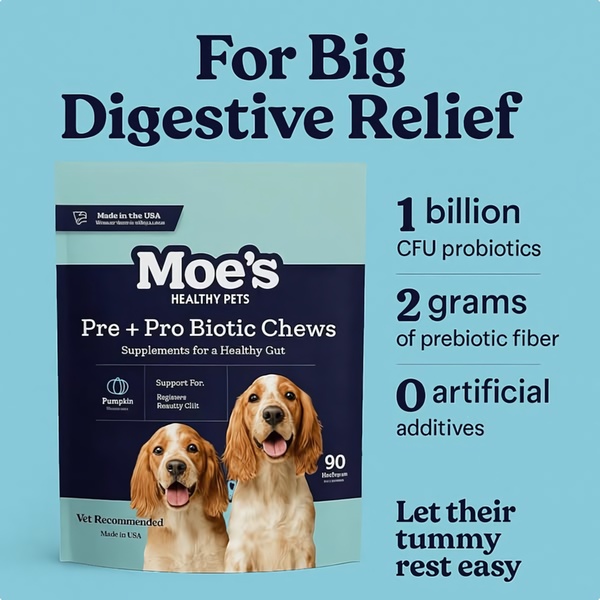 A clean, statistic-focused 1:1 ad graphic that highlights product efficacy using clear bulleted specs and relatable dog imagery.